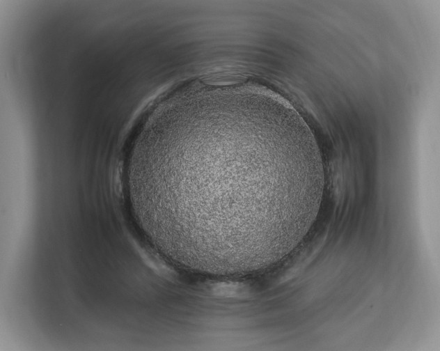 X0000113070400200909041102