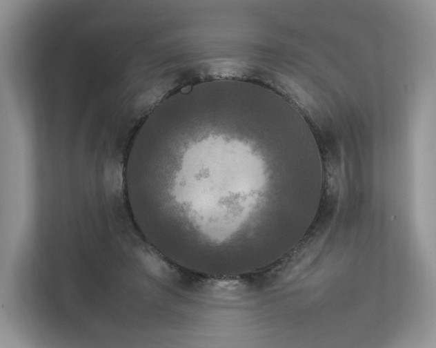 X0000113070401200909041102