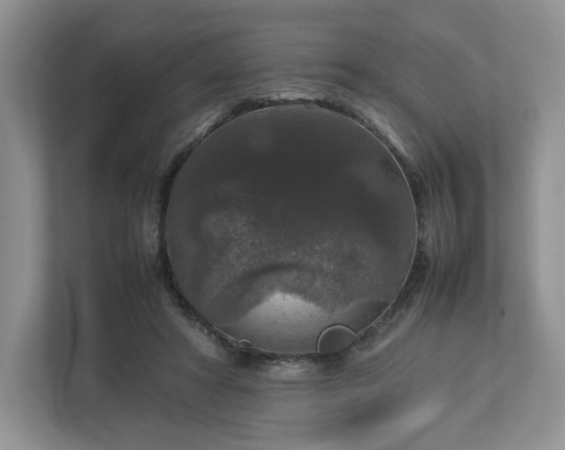 X0000113070402200909041102