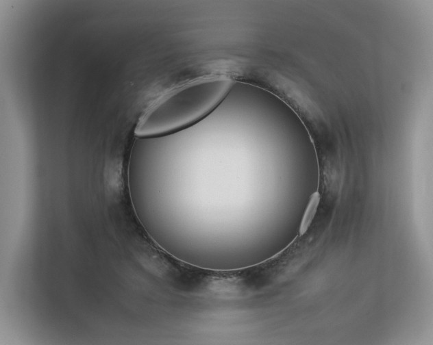 X0000113070403200909041102