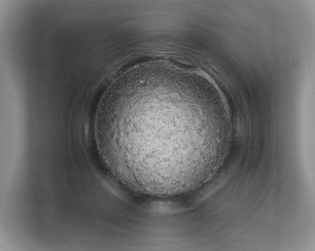 X0000113070408200909041102