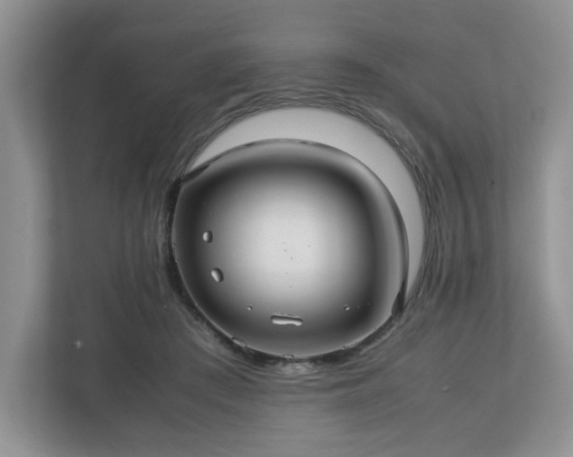 X0000113070409200909041102