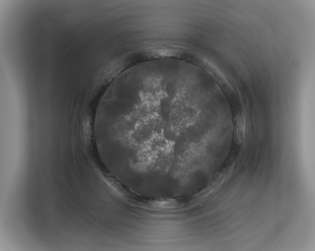 X0000113070410200909041102