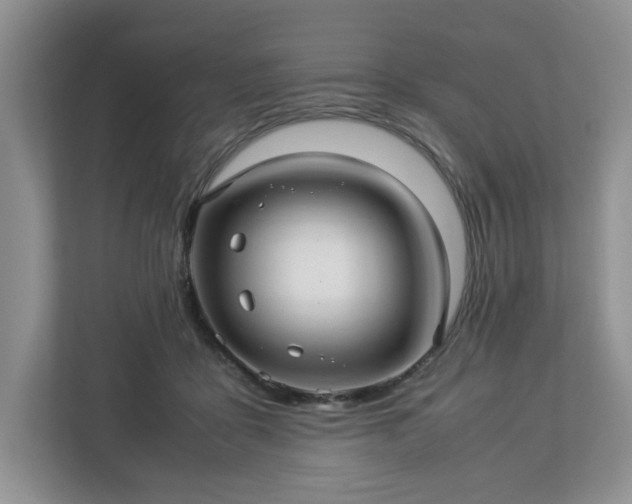 X0000113070411200909041102