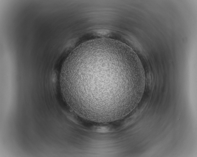 X0000113070412200909041102