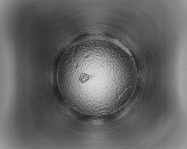 X0000113070416200909041102