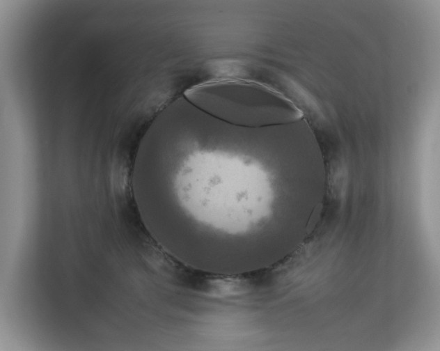 X0000113070417200909041102