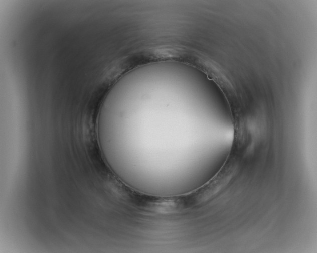 X0000113070418200909041102