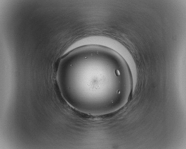 X0000113070419200909041102