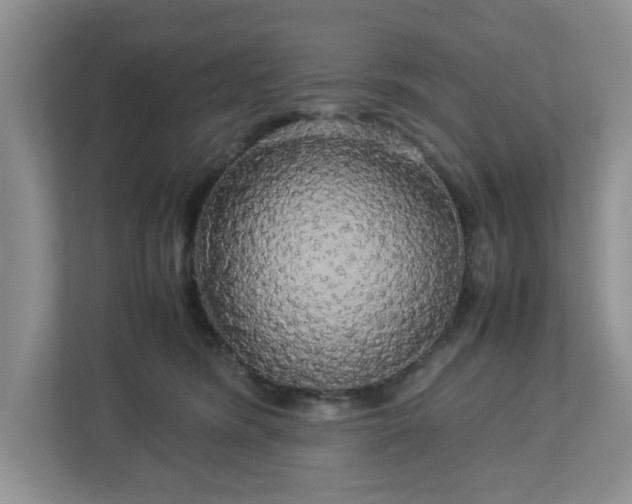 X0000113070420200909041101