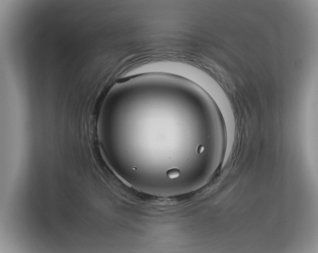 X0000113070421200909041101