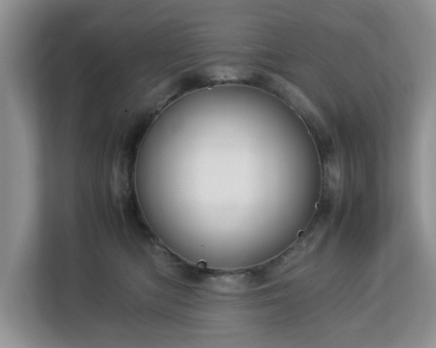 X0000113070422200909041101