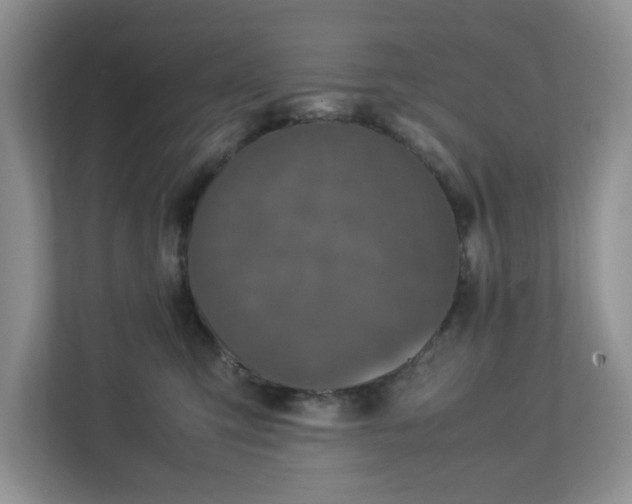 X0000113070423200909041101