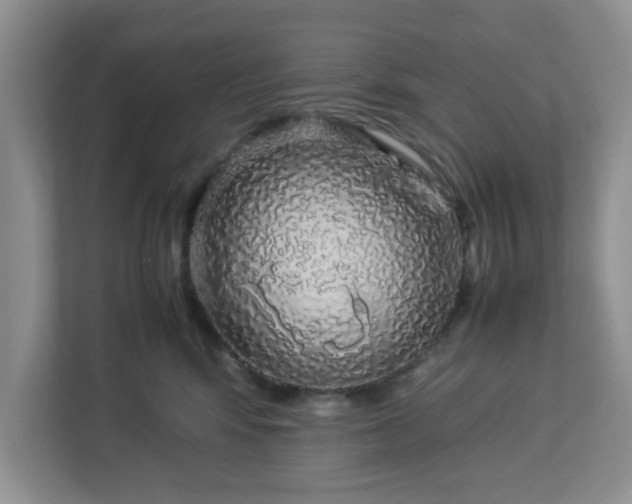 X0000113070424200909041101