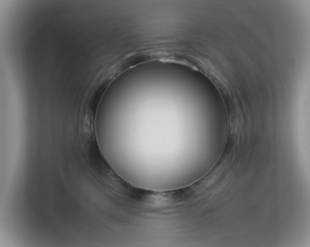 X0000113070425200909041101