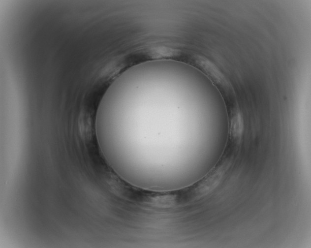 X0000113070426200909041101