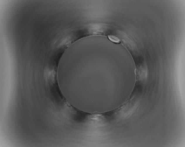 X0000113070427200909041101