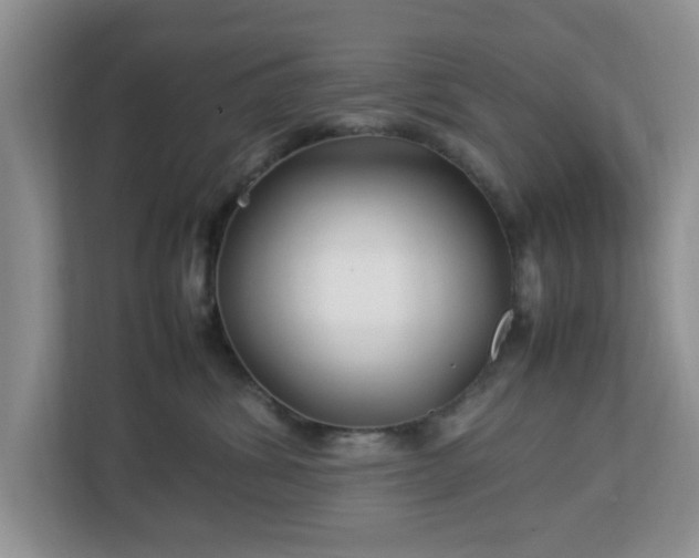 X0000113070428200909041101