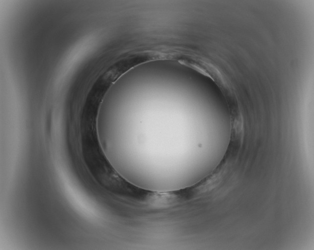 X0000113070429200909041101