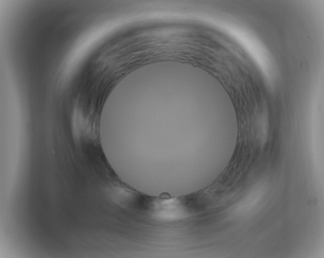 X0000113070431200909041101