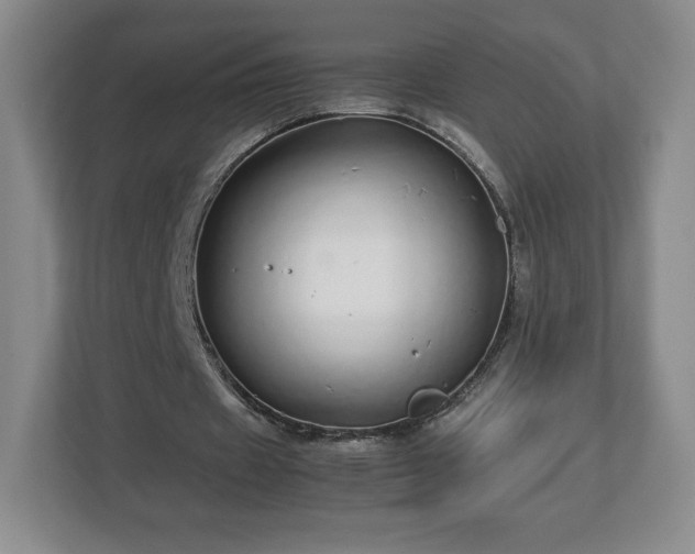 X0000113070433200909041101