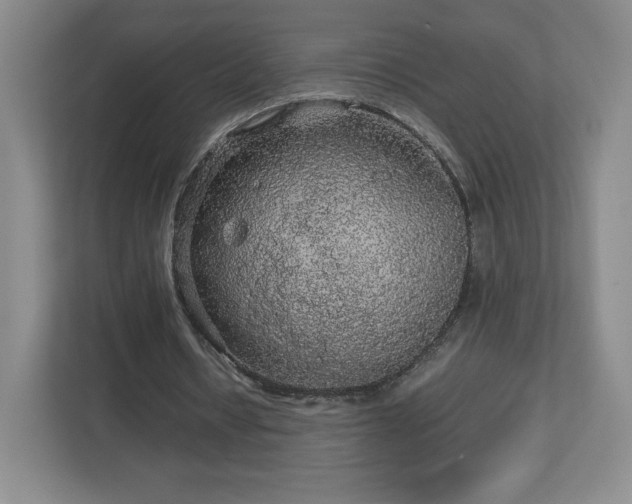 X0000113070434200909041101