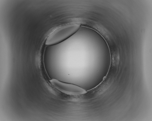 X0000113070436200909041101