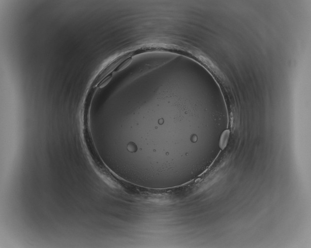 X0000113070438200909041101