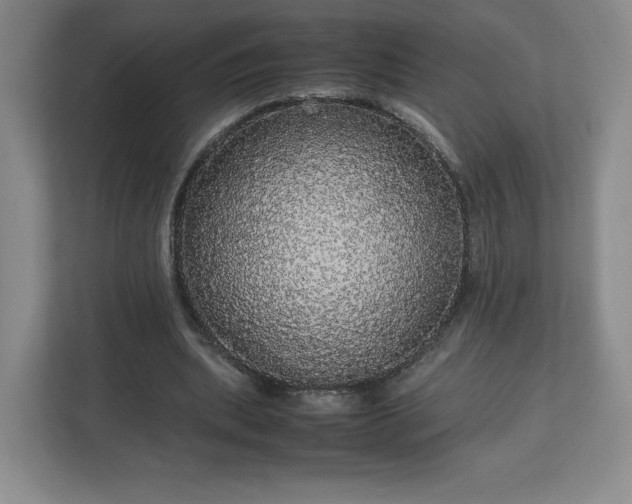 X0000113070439200909041101