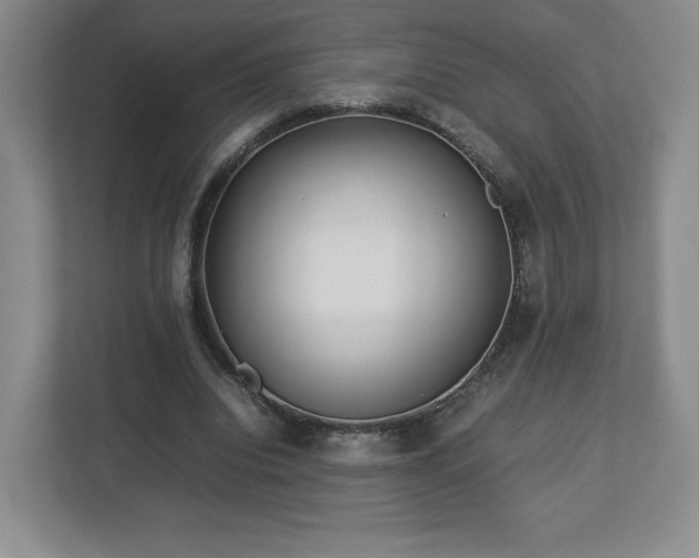 X0000113070440200909041101