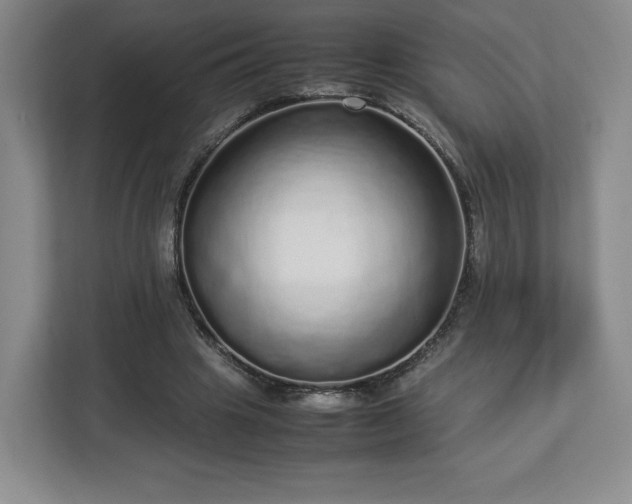 X0000113070441200909041101