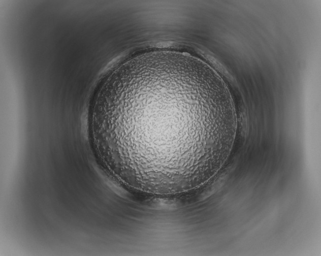 X0000113070442200909041101