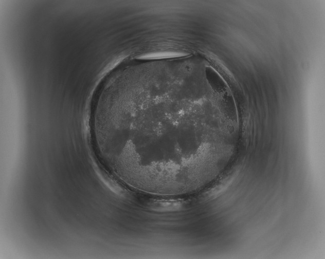 X0000113070443200909041101