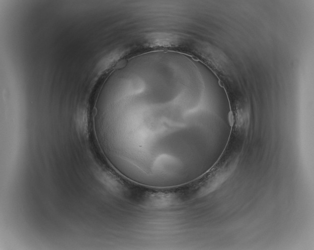 X0000113070444200909041101