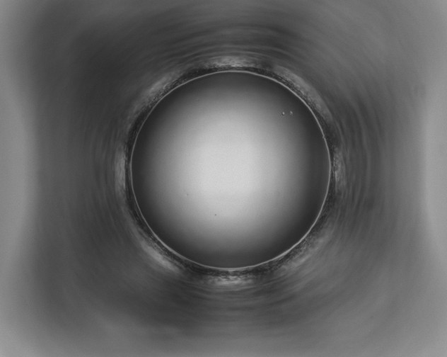 X0000113070445200909041101