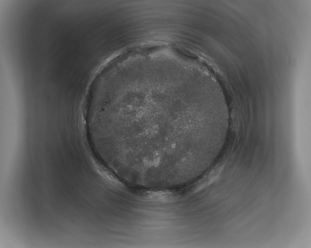 X0000113070446200909041101