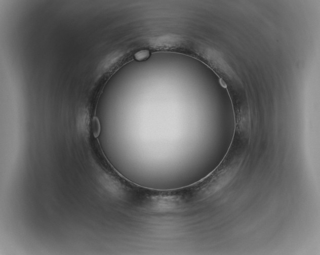 X0000113070448200909041101