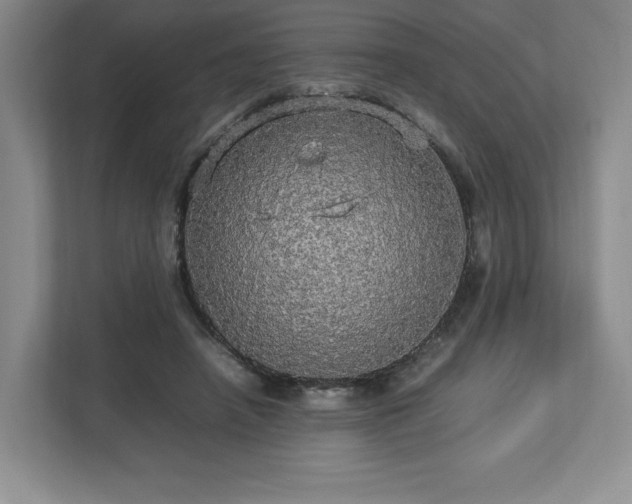 X0000113070450200909041101