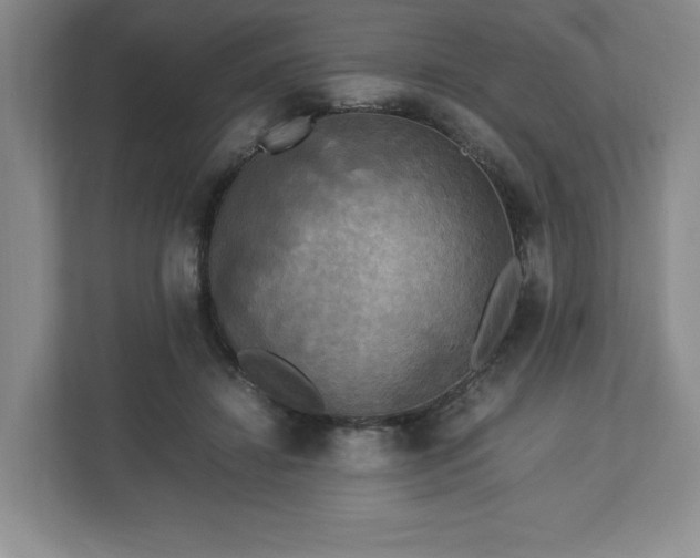 X0000113070452200909041101