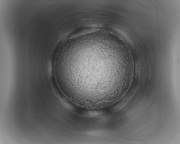 X0000113070453200909041101