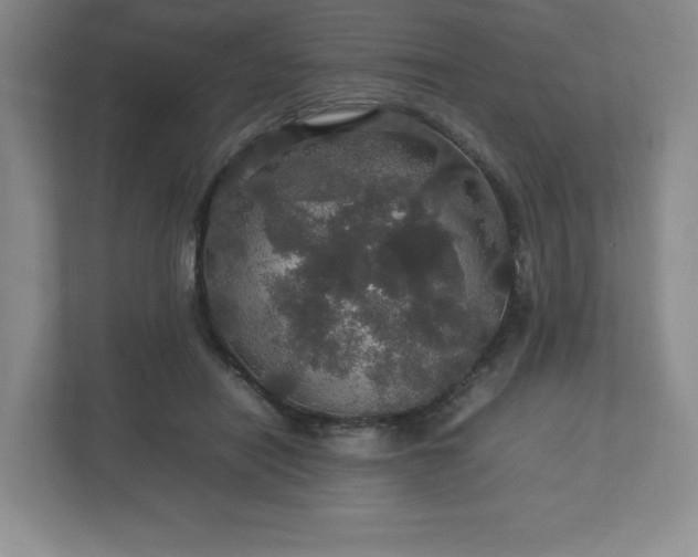 X0000113070454200909041101