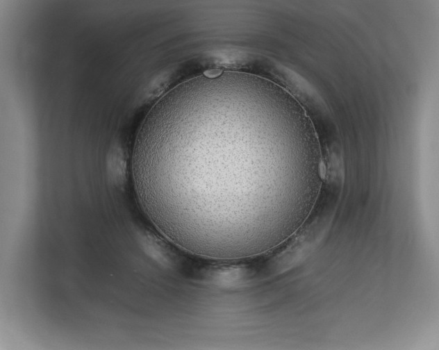 X0000113070456200909041101