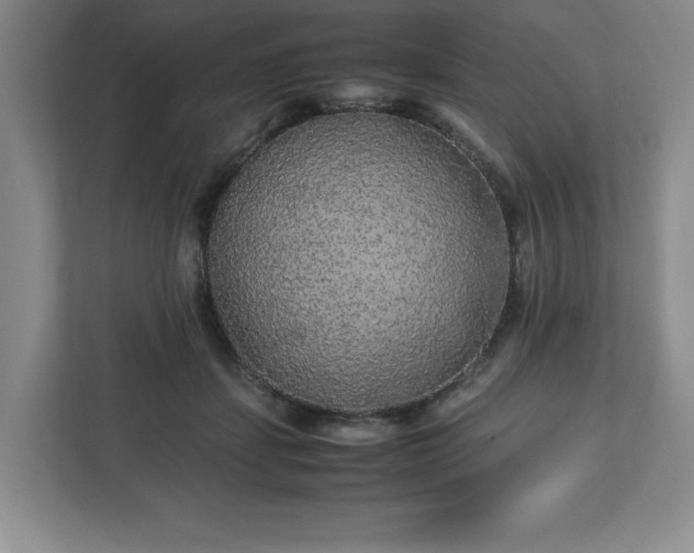 X0000113070459200909041101