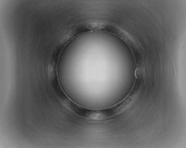 X0000113070460200909041101