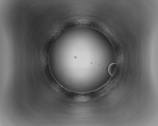 X0000113070464200909041101