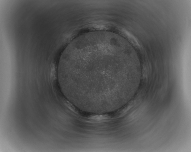 X0000113070465200909041101