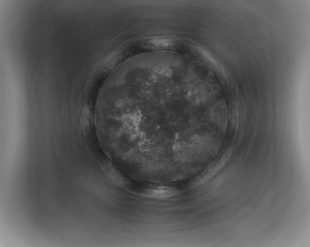 X0000113070467200909041101