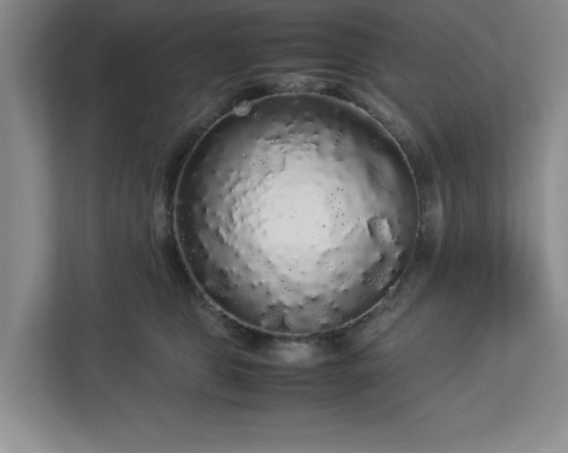 X0000113070469200909041101