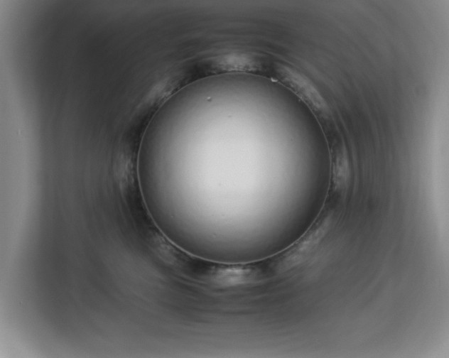 X0000113070473200909041101