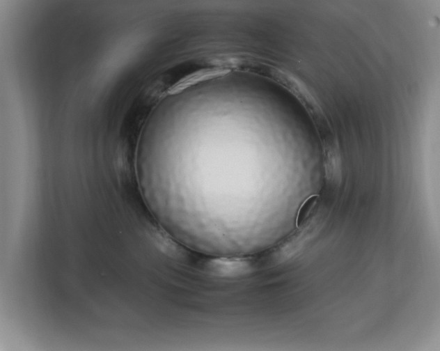 X0000113070477200909041101